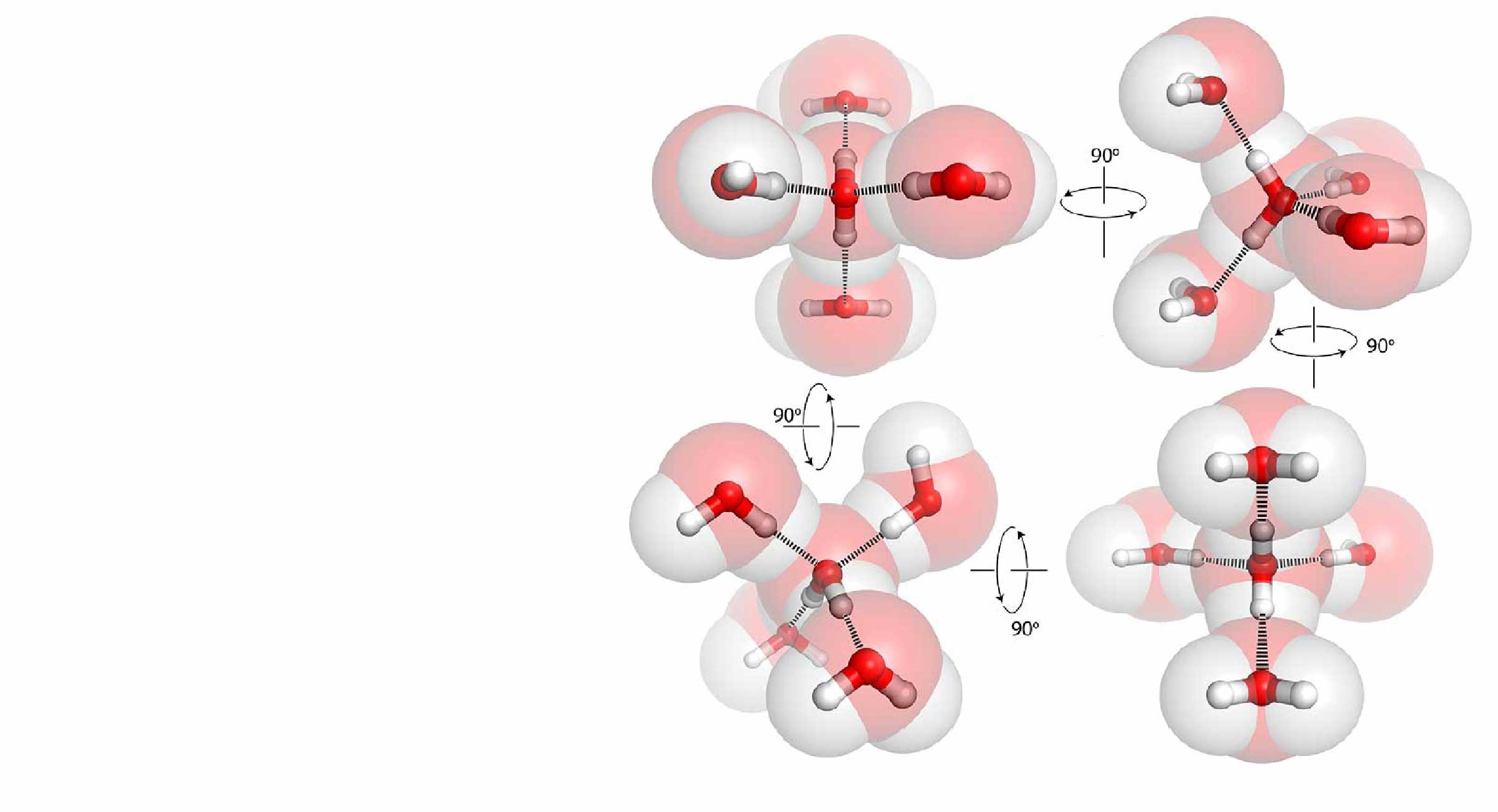 Williams Lab Slide 1